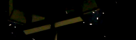 Moths at light of lamp standard